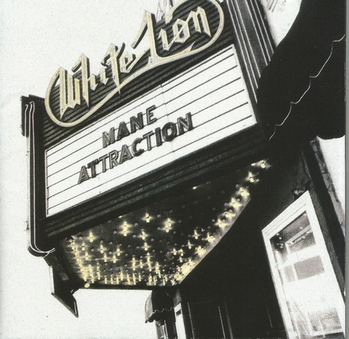 white lion Mane Attraction
