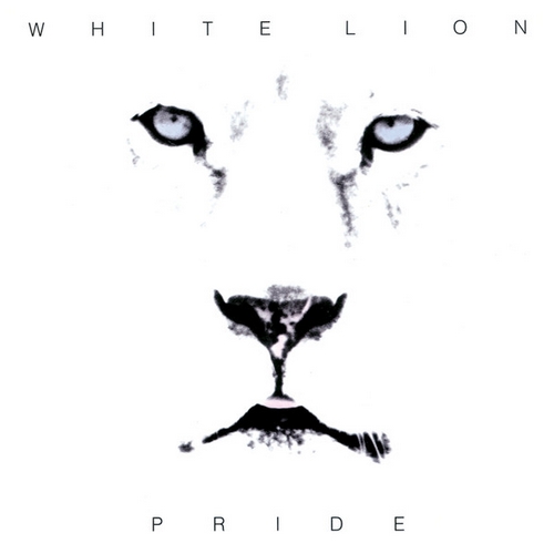 white lion Pride